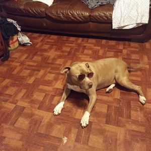 Meet your Posher, Jocelyn